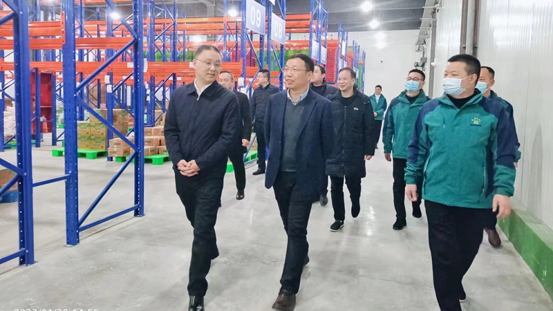 臨海市委書記吳華丁調研社發(fā)茂陽農產品配送基地